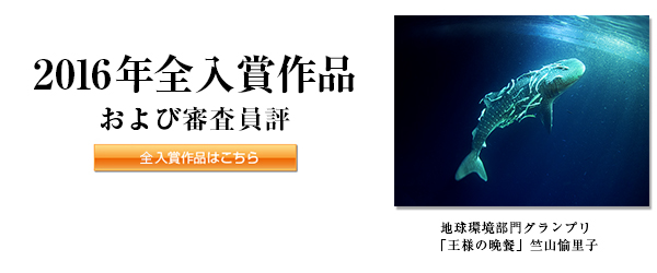 2016年全入賞作品