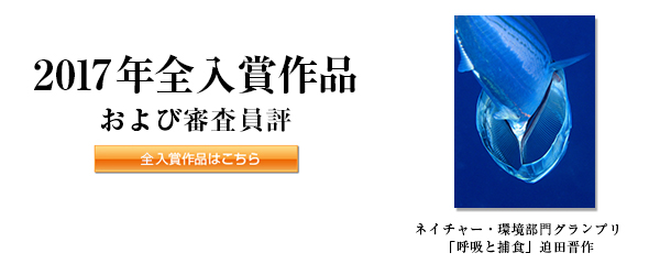 2017年全入賞作品