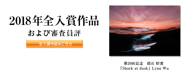 2018年全入賞作品