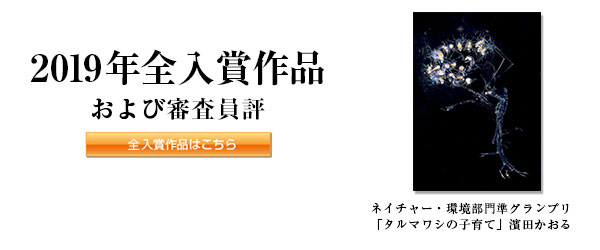 2019年全入賞作品