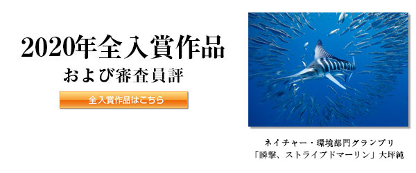 2020年全入賞作品