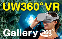 これまで紹介した水中360°VR動画を総まとめ！