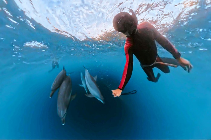 背後から近づくイルカに気づいていない長谷川さん