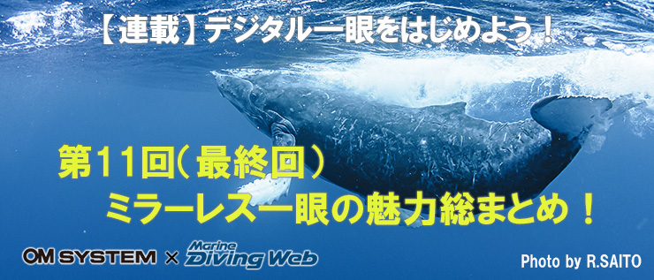 デジタル一眼、始めよう!