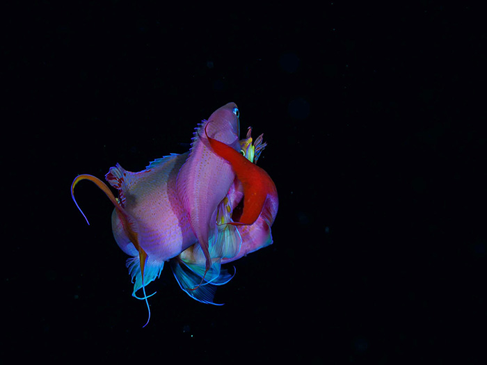 (写真/茂野優太)