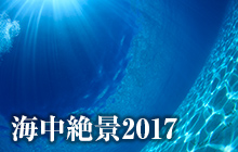 水中絶景2017