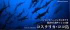 コスタリカ・ココ島