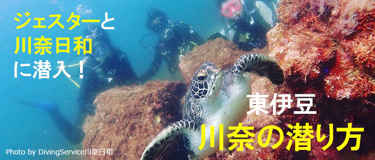 東伊豆 川奈の潜り方
