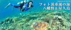 フォト派垂涎の海 八幡野&屋久島