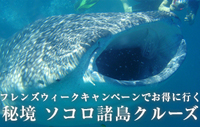 最新クルーズのススメ