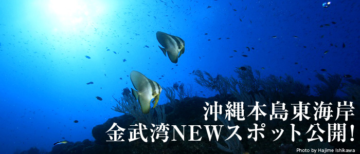 沖縄本島東海岸・金武湾NEWスポット公開!