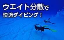 第37回 ウエイトの分散