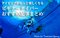 ビギナーダイバーおすすめ記事まとめ