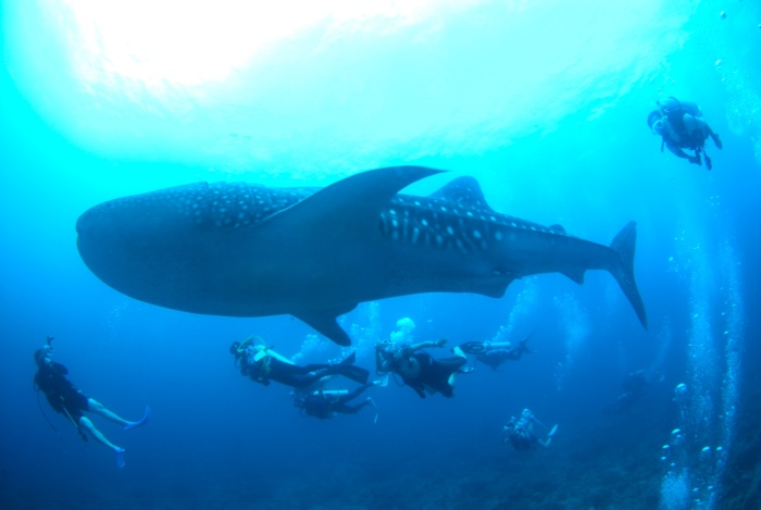 「中性浮力水深」とウエイトの重さのグラフ