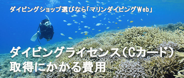 ダイビングライセンス(Cカード)取得にかかる費用