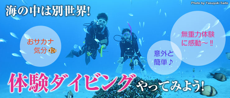 海の中は別世界! 体験ダイビングやってみよう!