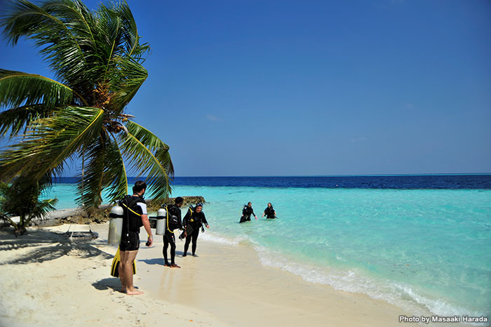 モルディブは陸も海もパラダイス。行くならぜひダイビングしたい