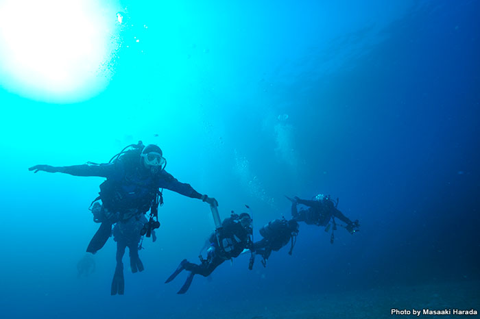 伊豆半島近辺の海でも、この海の青さ!