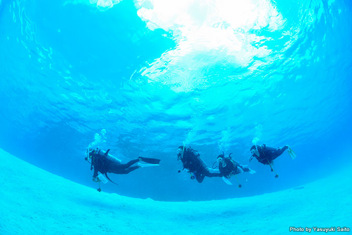 海の世界を知ってしまったら、もうやめられない!?