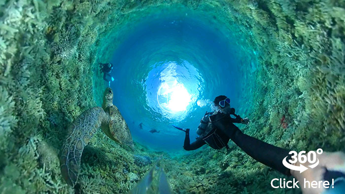 沖縄・ケラマの海をバーチャル体験