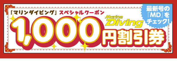 「もっと潜ろう!伊豆半島&紀伊半島クーポン」