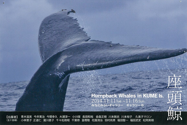 座頭鯨Humpback Whales in KUME Is.