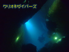 雲見の海でカエルアンコウとウミウシ探し。。。