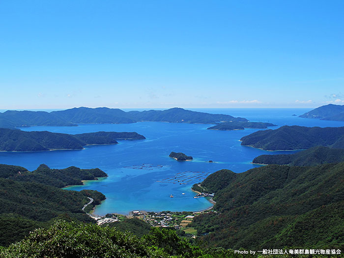 奄美大島南部の観光名所「高知山展望台」は大島海峡と加計呂麻島を一望できる展望台。美しいリアス式海岸が続く大島海峡一帯は、奄美群島国定公園に指定されています