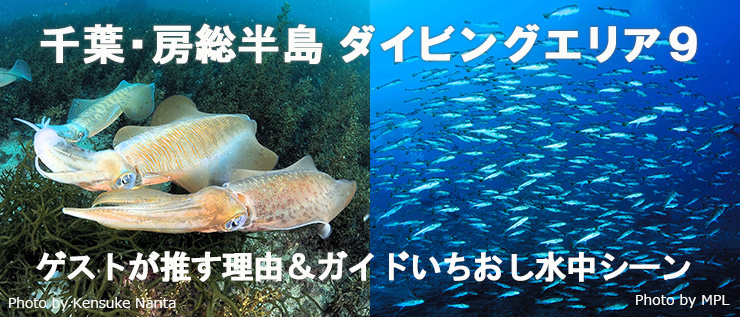 千葉・房総半島ダイビングエリア9