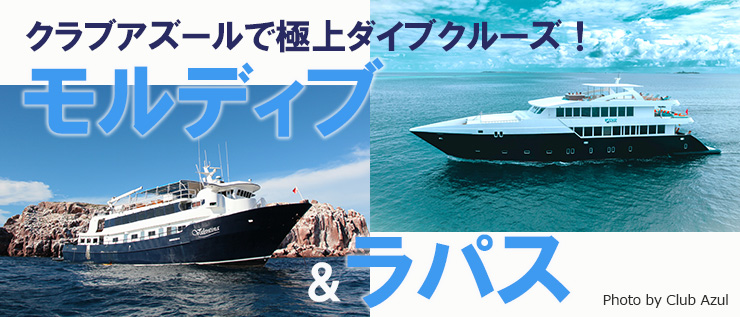 モルディブ&ラパスで極上ダイブクルーズ!