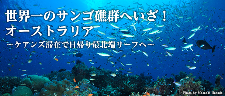 世界一のサンゴ礁群へいざ! オーストラリア ~ケアンズ滞在で日帰り最北端リーフヘ~