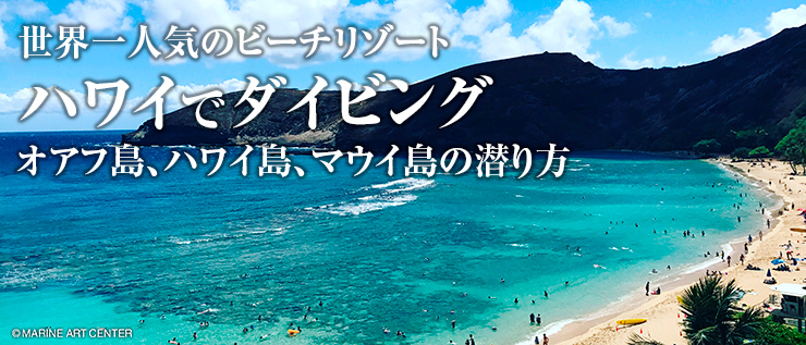 世界一人気のビーチリゾート　ハワイでダイビング　オアフ島、ハワイ島、マウイ島の潜り方