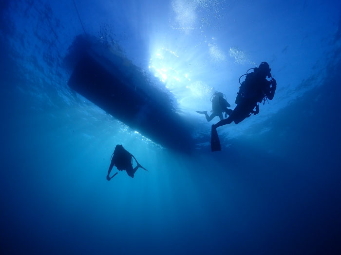 流れがない場合はフリー潜降をするのもOK。不安な方はブイのロープを使って潜降しましょう