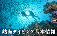 熱海ダイビング基本情報