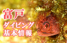 富戸ダイビング基本情報