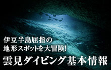 西伊豆 雲見ダイビング基本情報