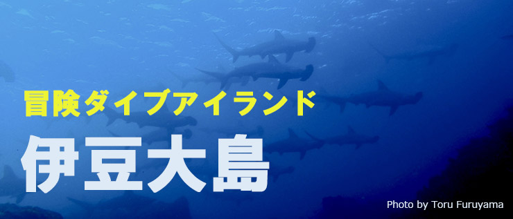 冒険ダイビングアイランド 伊豆大島