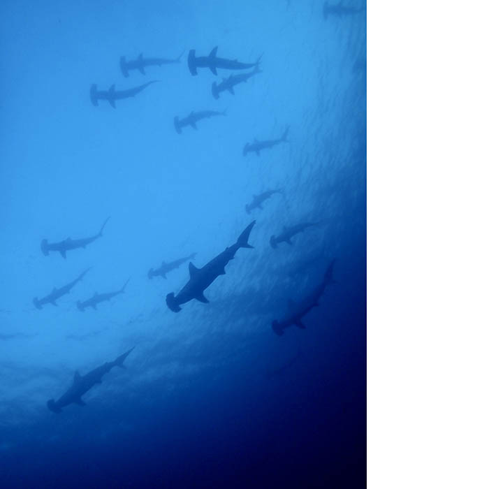 指示された場所で待つと、ハンマーが現れる Photo by Toru Furuyama