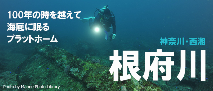 100年の時を越えて海底に眠るプラットホーム 根府川