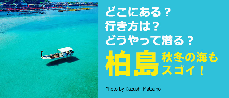 柏島~秋冬の海もスゴイ!
