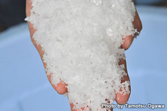 粒の大きい粗塩は、ほどよい苦みが特徴