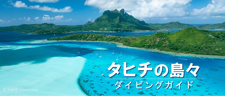 タヒチの島々ダイビングガイド