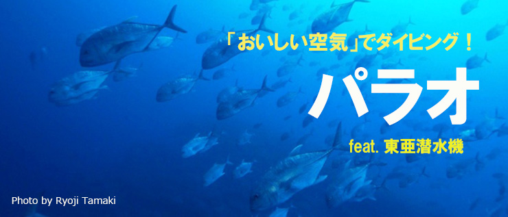 パラオをおいしい空気でダイビング