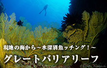 現地の海から~水深別魚ッチング!~グレートバリアリーフ