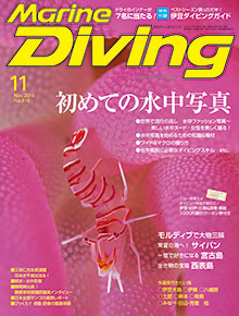 2016年11月号