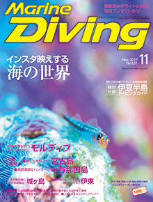 マリンダイビング　11月号