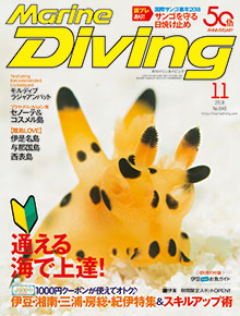 2018年11月号