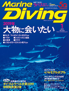 「マリンダイビング」2019年1月号