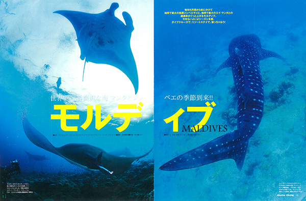 モルディブ