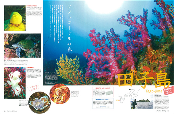 三宅島・田子島・伊東